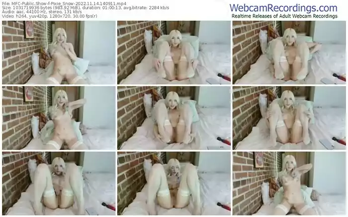 myfreecams-pixie_snow-11-14-2022-14-09-11