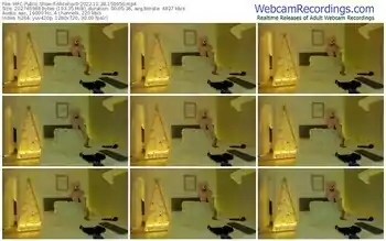 myfreecams-alicefox0-11-28-2022-15-09-56