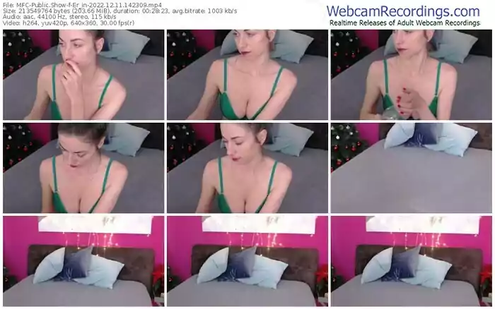 myfreecams-er_in-12-11-2022-14-23-09