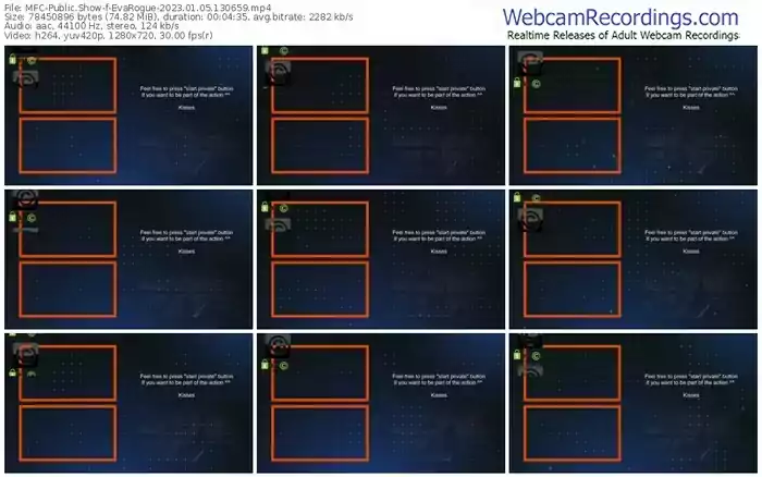 myfreecams-evarogue-01-05-2023-13-06-59