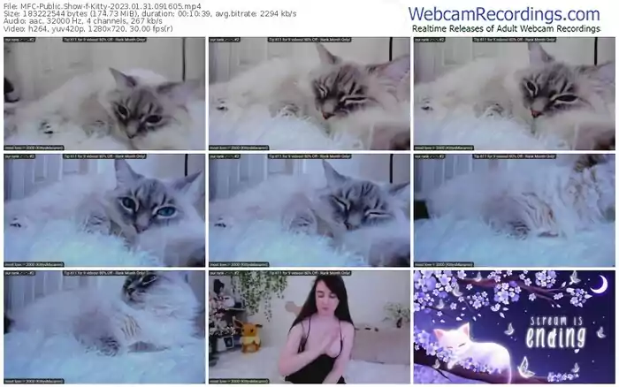 myfreecams-kitty-01-31-2023-09-16-05