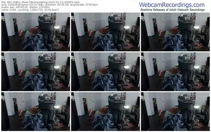 myfreecams-bunnydathug-02-13-2023-19-18-00