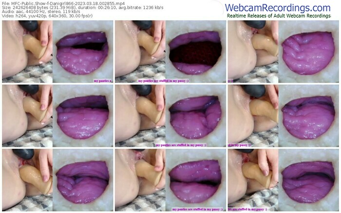 myfreecams-danigirl866-03-18-2023-00-28-55