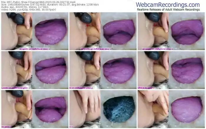 myfreecams-danigirl866-03-29-2023-00-27-32