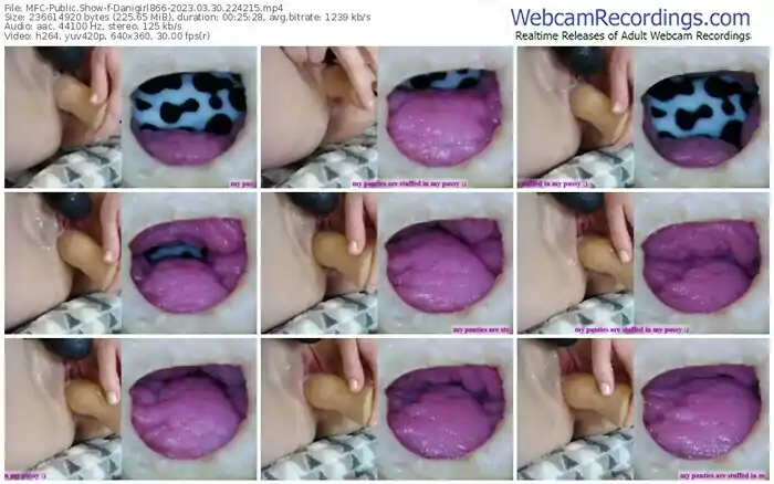 myfreecams-danigirl866-03-30-2023-22-42-15