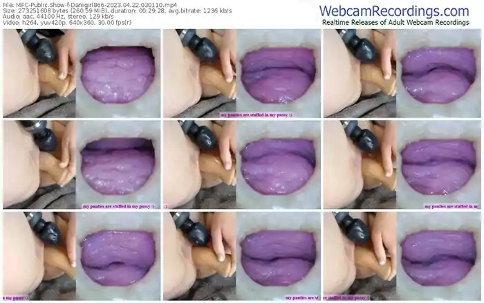 myfreecams-danigirl866-04-22-2023-03-01-10