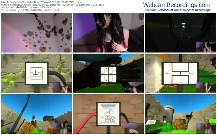 myfreecams-idroomtoavo-07-27-2023-01-25-01