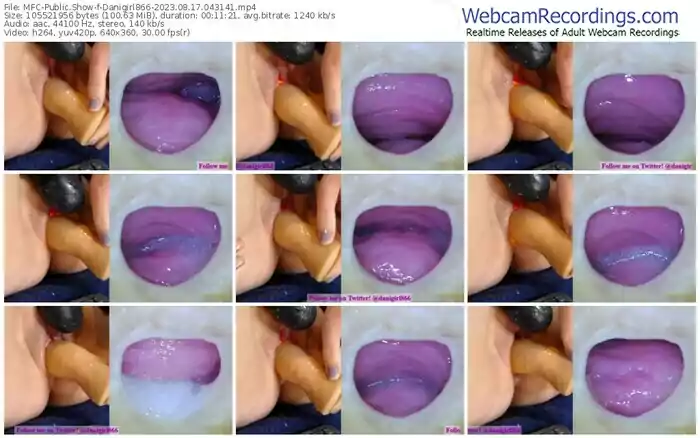 myfreecams-danigirl866-08-17-2023-04-31-41