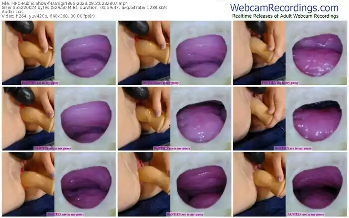 myfreecams-danigirl866-08-20-2023-23-28-07