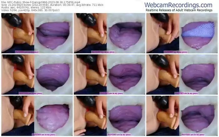 myfreecams-danigirl866-08-30-2023-17-58-56