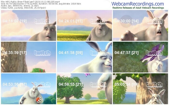 myfreecams-testcamt-10-12-2023-08-12-05