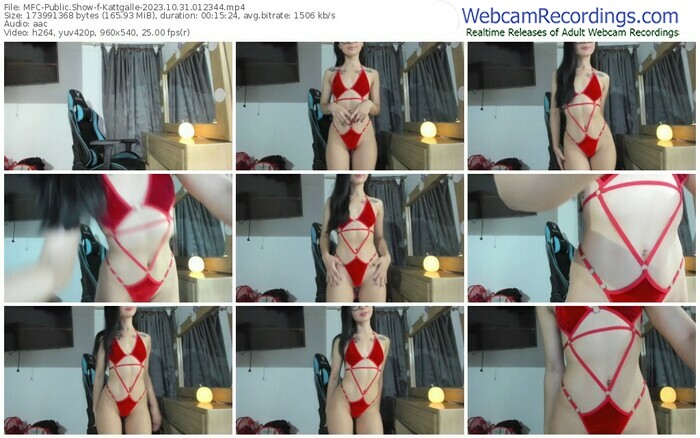 myfreecams-kattgalle-10-31-2023-01-23-44