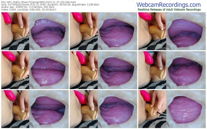 myfreecams-danigirl866-11-27-2023-22-13-40