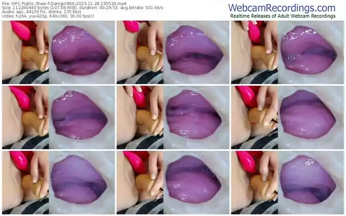 myfreecams-danigirl866-11-28-2023-19-55-24