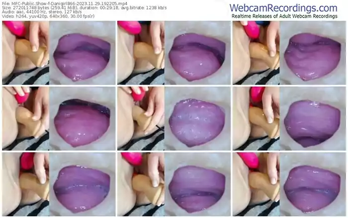 myfreecams-danigirl866-11-29-2023-19-22-05