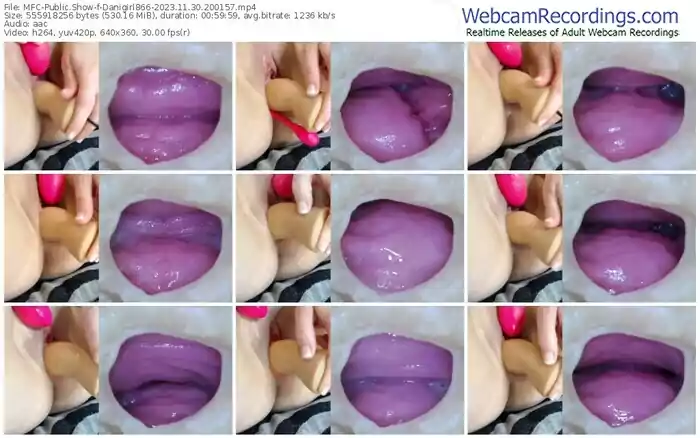 myfreecams-danigirl866-11-30-2023-20-01-57