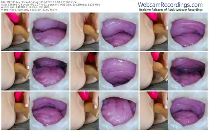 myfreecams-danigirl866-12-18-2023-22-38-00