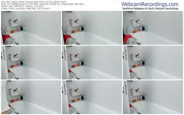 myfreecams-wennndyk-12-25-2023-16-22-07