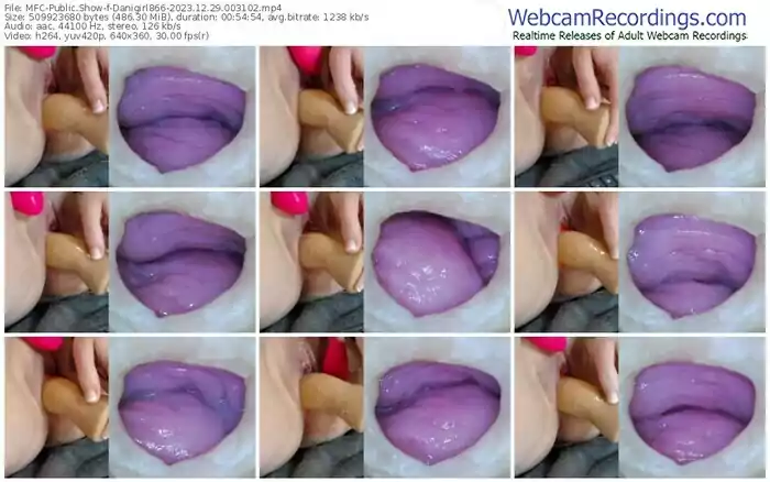 myfreecams-danigirl866-12-29-2023-00-31-02