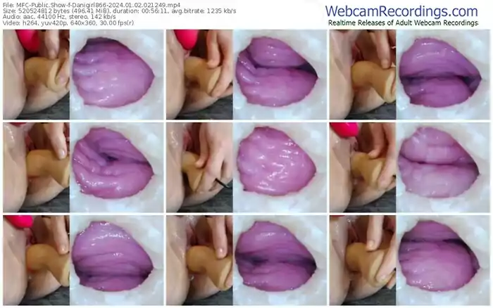 myfreecams-danigirl866-01-02-2024-02-12-49