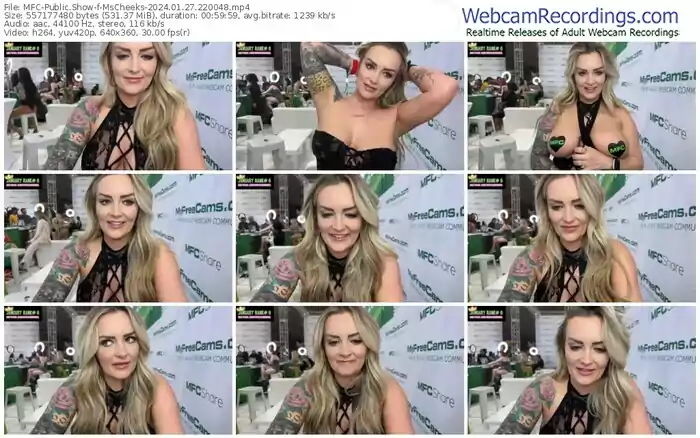 myfreecams-mscheeks-01-27-2024-22-00-48