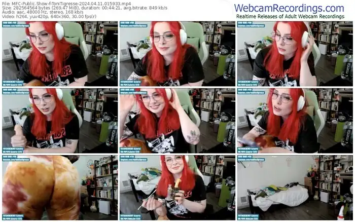 myfreecams-tonitigresse-04-11-2024-01-59-33