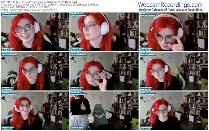 myfreecams-tonitigresse-04-12-2024-01-48-54