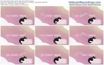 myfreecams-kitty-04-16-2024-04-47-19