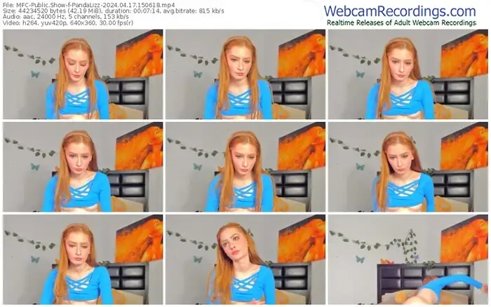 myfreecams-pandalizz-04-17-2024-15-06-18