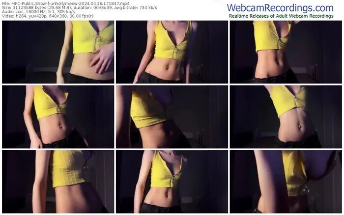 myfreecams-unhollymeow-04-19-2024-17-18-47