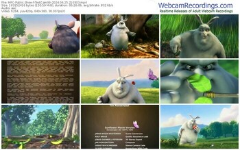 myfreecams-testcam99-04-25-2024-21-03-03