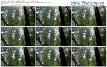 myfreecams-testcam97-04-26-2024-00-31-12