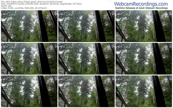 myfreecams-testcam97-04-26-2024-00-31-12