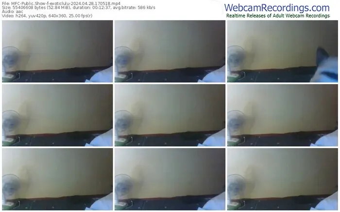 myfreecams-exoticlulu-04-28-2024-17-05-18