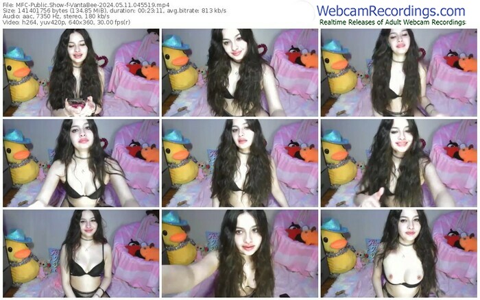 myfreecams-vantabee-05-11-2024-04-55-19