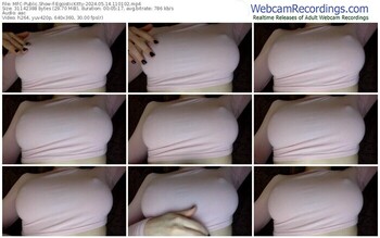 myfreecams-egoistickitty-05-14-2024-11-01-02