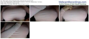 myfreecams-egoistickitty-06-03-2024-12-10-10
