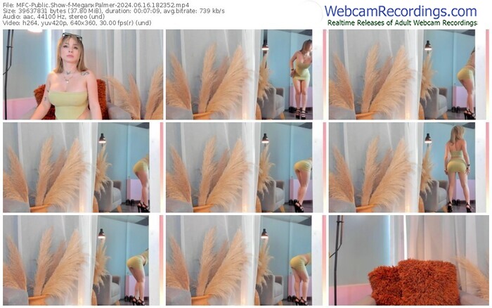 myfreecams-meganxpalmer-06-16-2024-18-23-52
