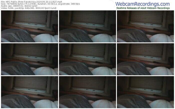 myfreecams-exoticlulu-06-20-2024-11-18-27