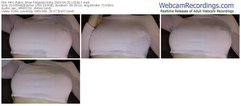 myfreecams-egoistickitty-06-25-2024-13-18-17