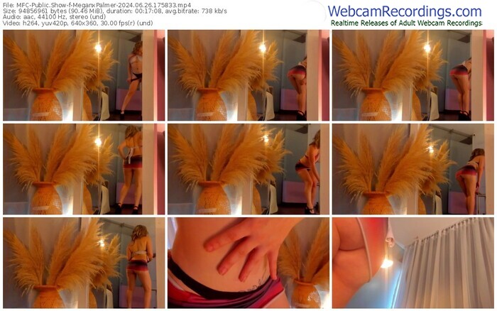 myfreecams-meganxpalmer-06-26-2024-17-58-33