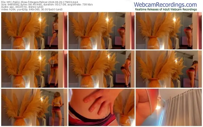 myfreecams-meganxpalmer-06-26-2024-17-58-33