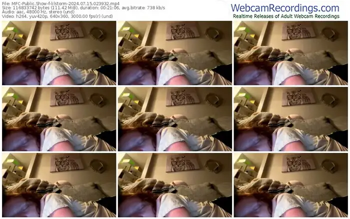 myfreecams-lilstorm-07-15-2024-02-39-32