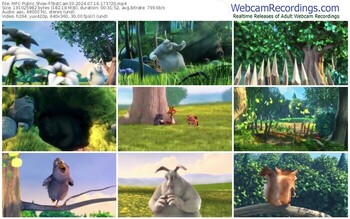 myfreecams-testcam33-07-16-2024-17-37-20