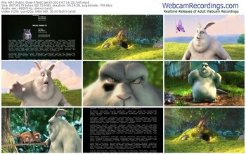 myfreecams-testcam33-07-16-2024-21-15-45