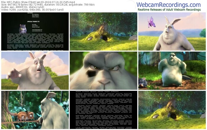 myfreecams-testcam33-07-16-2024-21-15-45