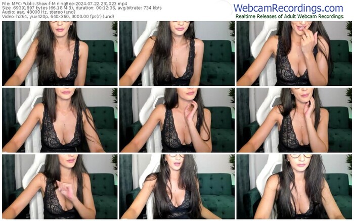 myfreecams-miningbee-07-22-2024-23-10-23