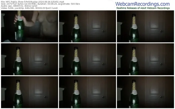 myfreecams-pinkittyplay-08-04-2024-02-54-51