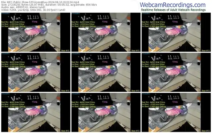 myfreecams-princessbluu-08-10-2024-01-01-24