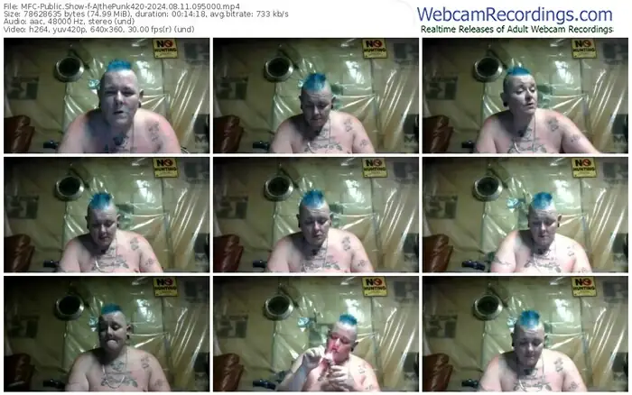 myfreecams-ajthepunk420-08-11-2024-09-50-00